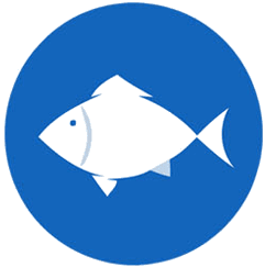 Pesce